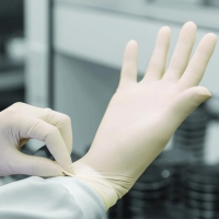 Latex Examination Gloves
